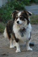 /album/fotogalerie/betynka-jpg1/