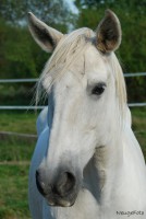 /album/fotogalerie/ermita-jpg1/