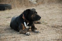 /album/fotogalerie/rocky-jpg1/